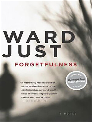 cover image of Forgetfulness